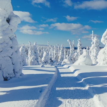 verschneite Winterlandschaft in Lappland - © nblxer - stock.adobe.com
