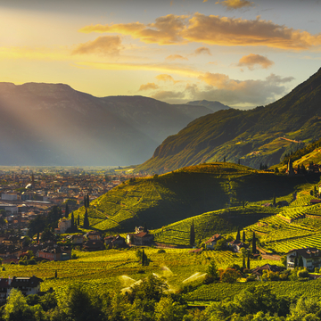 Santa Maddalena: Weindorf in Rentsch - ©stevanzz - stock.adobe.com