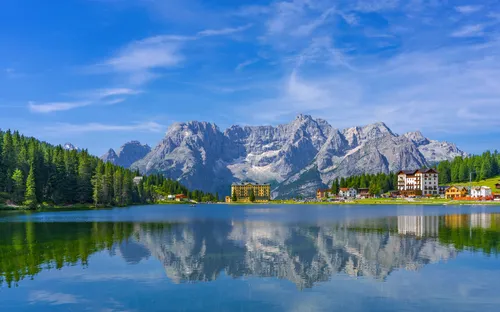 Alpenrosenblüte in Südtirol