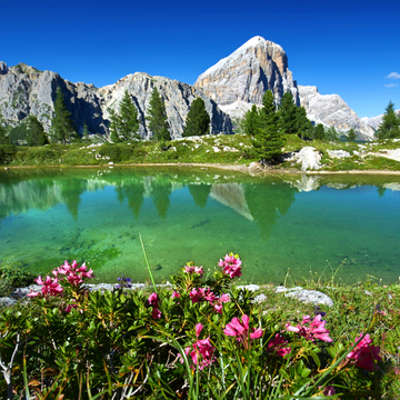 Bergsee Lago di Limides am Falzarego Pass - © Jenny Sturm - stock.adobe.com