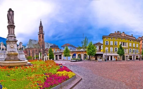Alpenrosenblüte in Südtirol