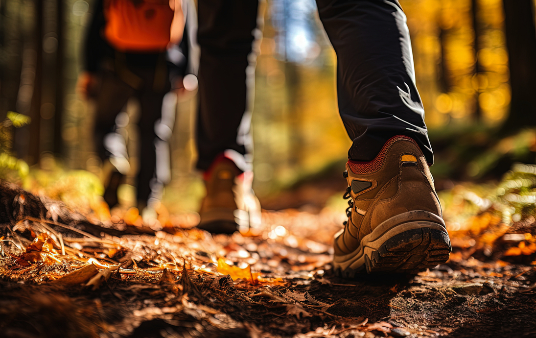 Wanderung im Herbstwald