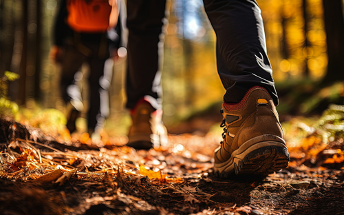 Wanderung im Herbstwald