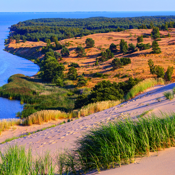 Kurische Nehrung - ©Yevgen Belich - stock.adobe.com