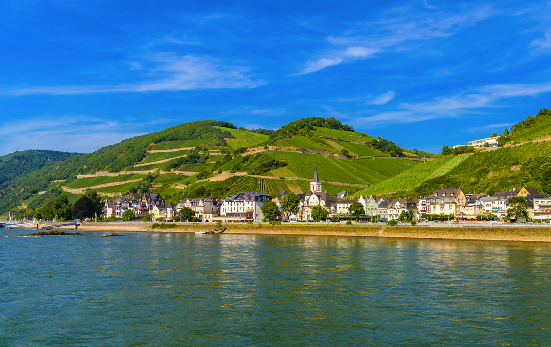 Weinberge in Rüdesheim 