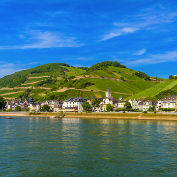 Weinberge in Rüdesheim  - © Eagle2308 - stock.adobe.com