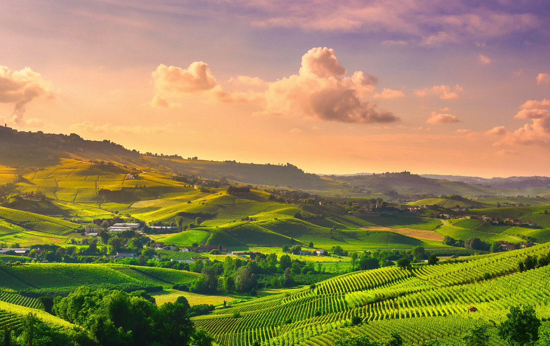 Panoramablick auf die Weinberge der Langhe