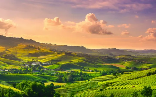 Genussreise im Herzen des Piemont