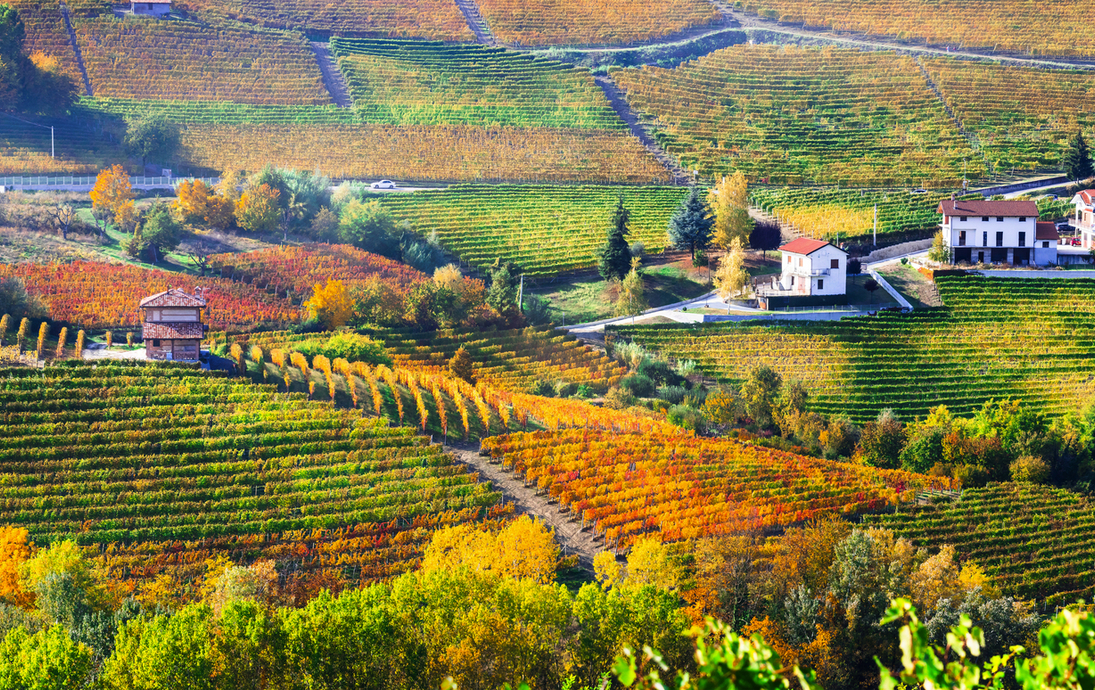 Herbst im Piemont