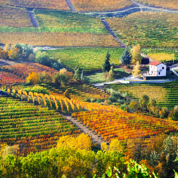 Herbst im Piemont - © Freesurf - stock.adobe.com