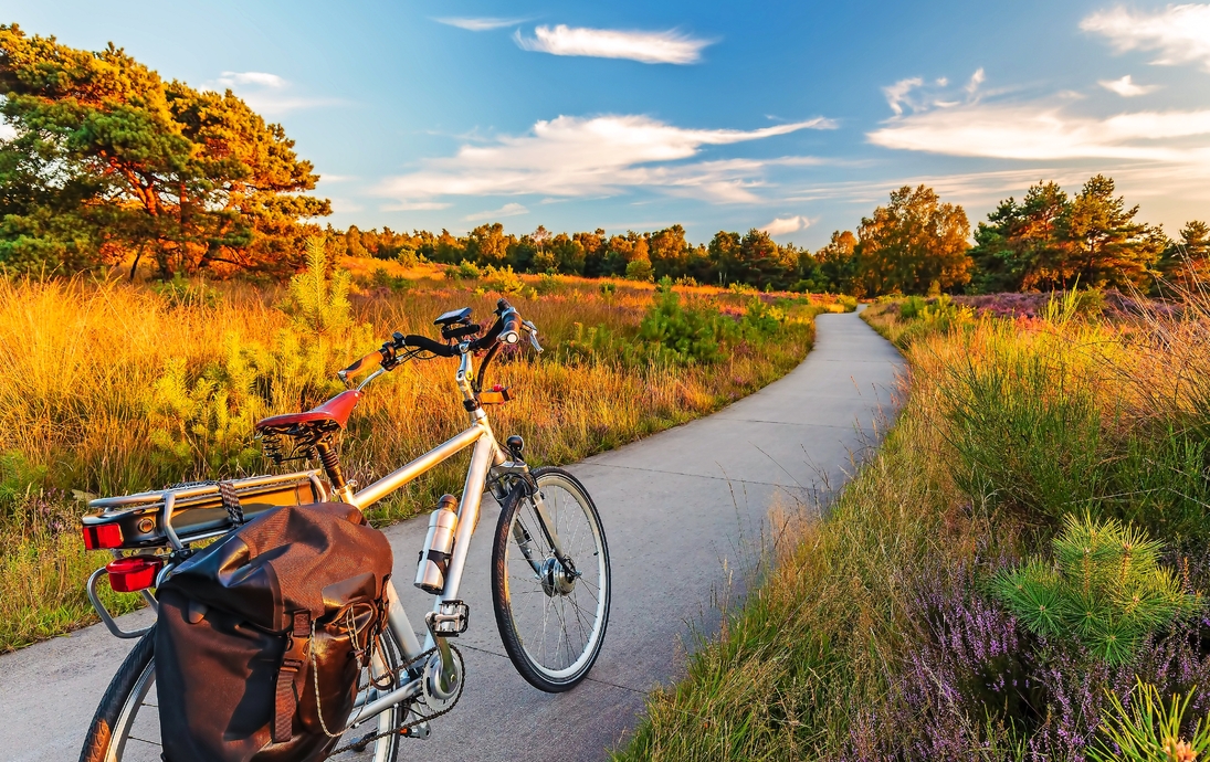 Elektrisches Fahrrad im niederländischen Nationalpark Die Veluwe