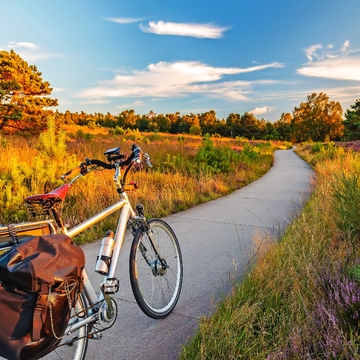 Elektrisches Fahrrad im niederländischen Nationalpark Die Veluwe - © DutchScenery - stock.adobe.com