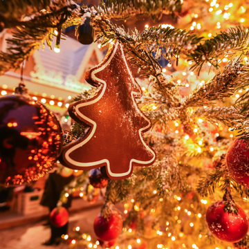 ein Weihnachtsbaum-Ingwerplätzchen schmückt einen echten Weihnachtsbaum - © Viktor - stock.adobe.com