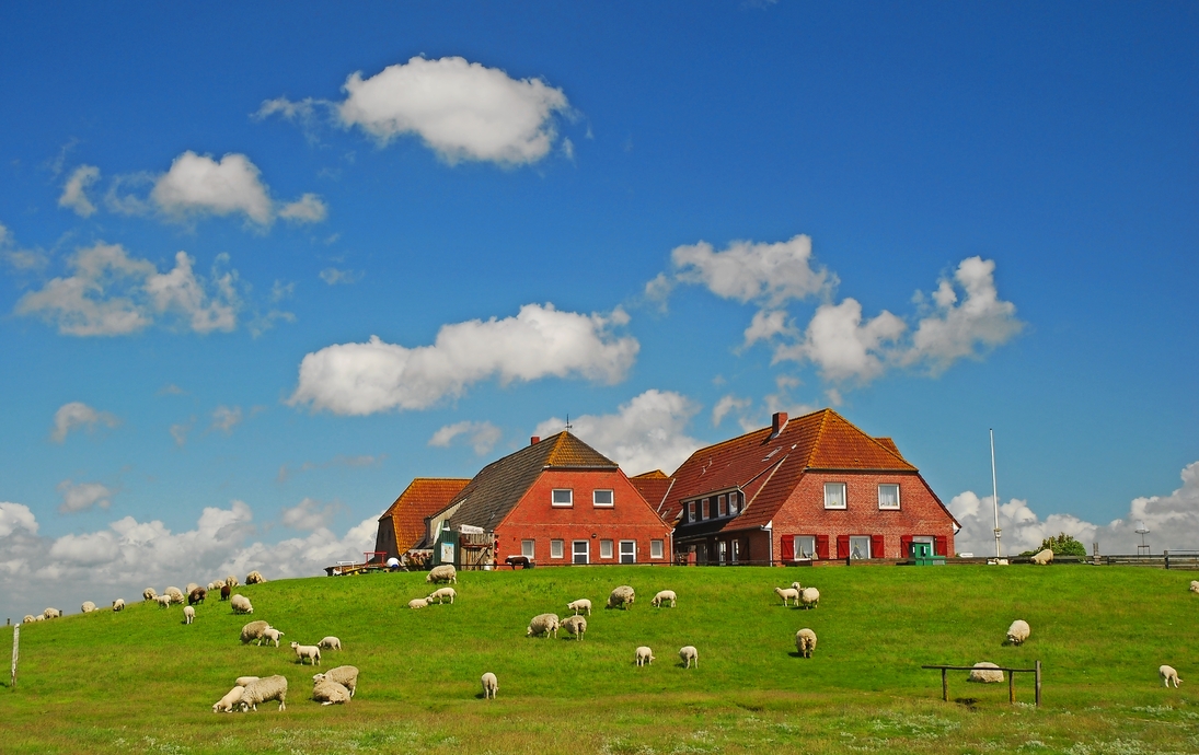 Hallig Hooge